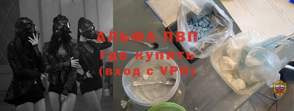 индика Баксан