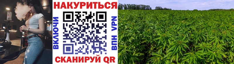 darknet как зайти  MEGA сайт  Липки  Марихуана марихуана 